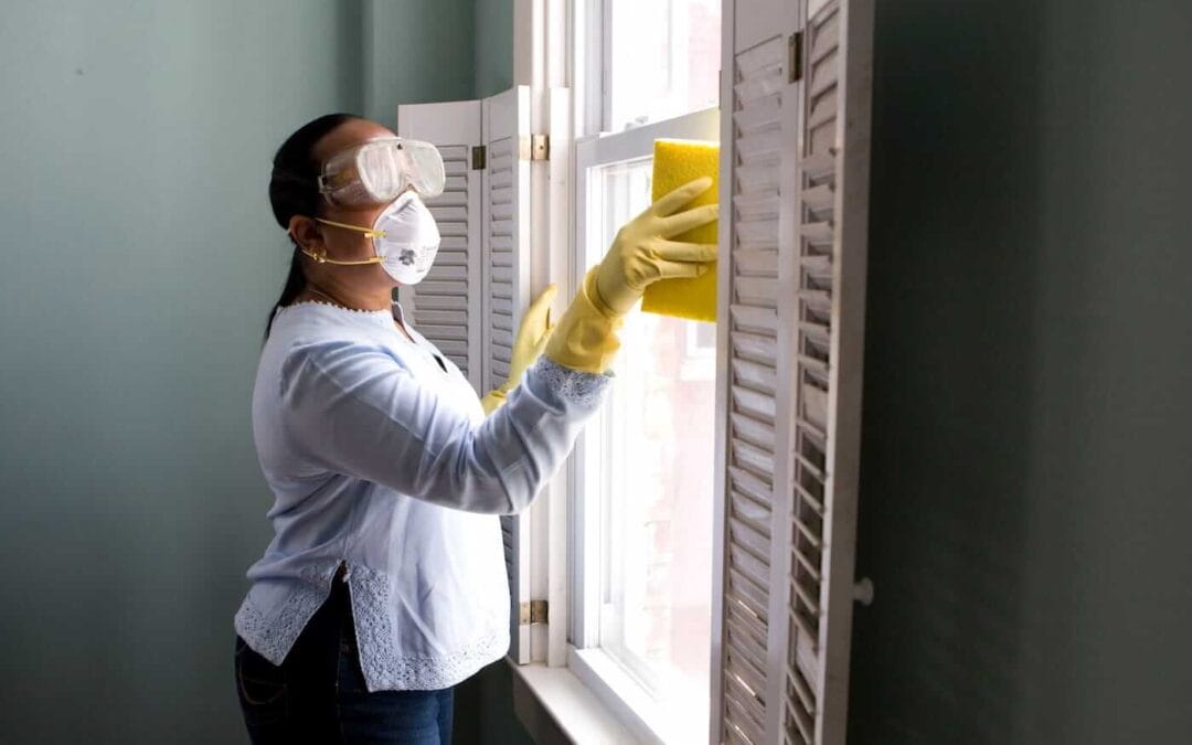 How Do You Clean Mold From Window Sills?