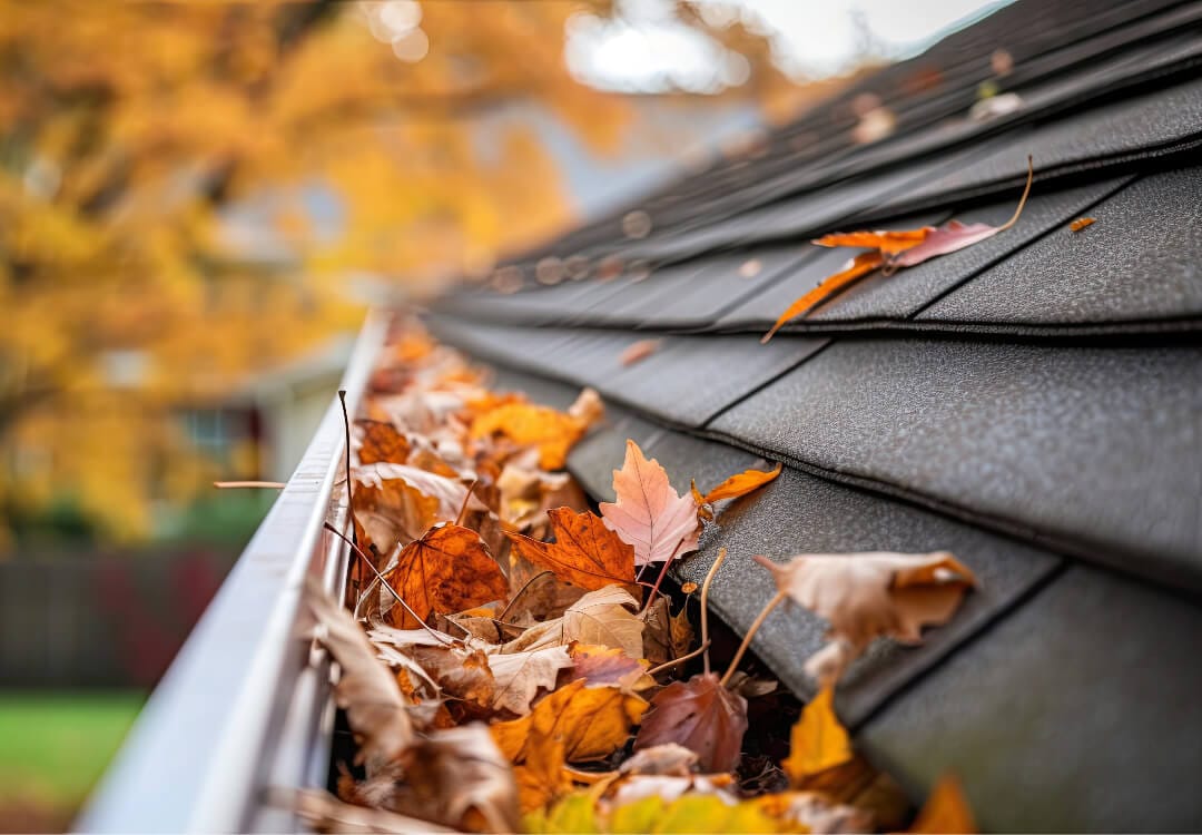 when-to-clean-your-gutters A gutter that needs cleaned