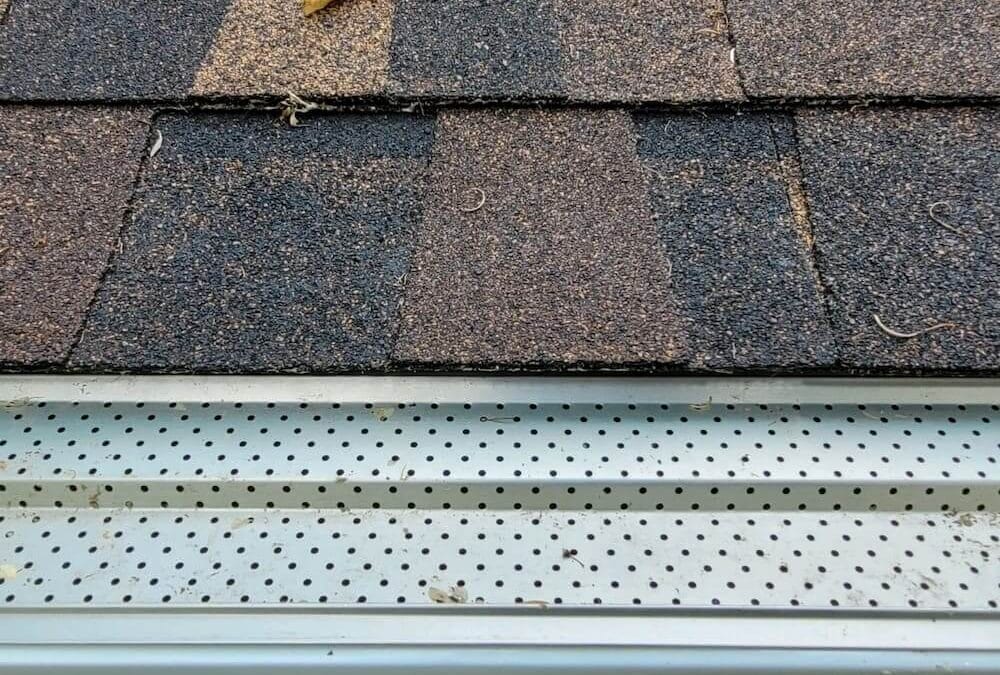 Everything You Need To Know About Gutter Guards
